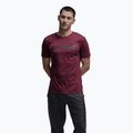 Tricou pentru bărbați Atomic Alps maroon