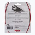 Wilson NXT Power 17 WRZ941700+ Tenis Stretch 2