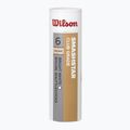 Fluturași de badminton Wilson Smashstar 6 buc. white