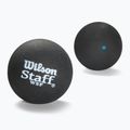 Minge de squash Wilson Staff Ball Blue Dot 3 buc. black