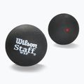 Minge de squash Wilson Staff Ball Red Dot 3 buc. black