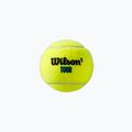 Wilson Tour Premier All Ct Set de mingi de tenis 3 buc galben WRT109400 3