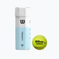 Set de mingi de tenis - 3 bucăți. Wilson Triniti Tball galben WRT125200+