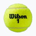 Set de mingi de tenis Wilson Roland Garros All Ct 3 buc galben WRT126400 2