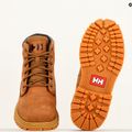 Cizme pentru bărbați Helly Hansen Fremont dogwood/negru pentru bărbați 15
