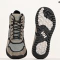 Cizme de drumeție pentru bărbați Helly Hansen Monashee Ullr HT fallen rock/negru 11