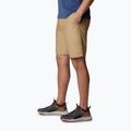 Pantaloni scurți de trekking pentru bărbați Columbia Washed Out maro 1491953243 3