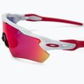 Ochelari de ciclism Oakley Radar EV Path alb-roz 0OO9208 3
