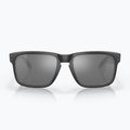Ochelari de soare Oakley Holbrook matte black/prizm black polarized 3