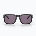 Ochelari de soare Oakley Holbrook matte black/prizm grey 2