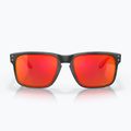 Ochelari de soare Oakley Holbrook matte black/prizm ruby 2