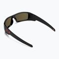 Ochelari de soare Oakley Gascan negru lustruit/prizm rubin 2