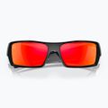 Ochelari de soare Oakley Gascan negru lustruit/prizm rubin 10