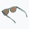 Ochelari de soare Oakley Frogskins negru 0OO9013 2