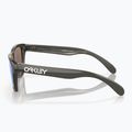 Ochelari de soare pentru copii Oakley Frogskins XXS grey smoke/prizm sapphire 3