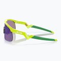 Ochelari de soare pentru copii  Oakley Resistor retina burn/prizm jade 4