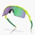 Ochelari de soare pentru copii  Oakley Resistor retina burn/prizm jade 5