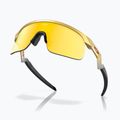 Ochelari de soare pentru copii  Oakley Resistor gold/prizm 24k 4
