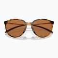 Ochelari de soare Oakley Sielo polished brown tortoise/prizm bronze polar 6