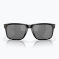 Ochelari de soare Oakley Holbrook black 2