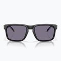 Ochelari de soare Oakley Holbrook Fathom Collection matte black/prizm grey 2