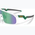 Ochelari de soare pentru copii  Oakley Resistor matte white/prizm jade 6