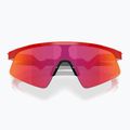 Ochelari de soare pentru copii  Oakley Resistor Sweep redline/prizm field 3