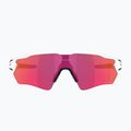 Ochelari de soare Oakley Radar EV S Path polished white/prizm field 2