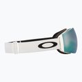 Ochleari de schi Oakley Flight Deck Pro M matte white/prizm sapphire/prizm iced 11