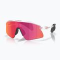 Ochelari de soare Oakley Stunt Devil matte clear/prizm field