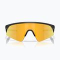 Ochelari de soare pentru copii Oakley Resistor Sweep polished matte black/prizm 24k 2
