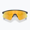 Ochelari de soare pentru copii Oakley Resistor Sweep polished matte black/prizm 24k 3