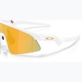 Ochelari de soare pentru copii Oakley resistor sweep matte white/prizm 24k 6
