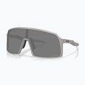 Ochelari de soare Oakley Sutro titanium/Prizm Black