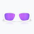 Ochelari de soare Oakley Instagator matte clear 2