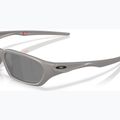 Ochelari de soare Oakley Terraforming titanium 6