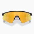 Ochelari de soare pentru copii Oakley Resistor Sweep matte black splatter/prizm 24k 5