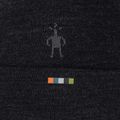 Căciulă Smartwool Merino Reversible Cuffed charcoal 3