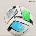 Joma Dali II Fotbal alb 400649.211 5