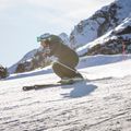 Komperdell Booster Booster Speed Carbon Series bețe de schi alb/argintiu 9