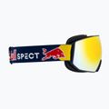 Ochelari de schi Red Bull SPECT Fink blue/orange with red mirror 3