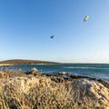 Kitesurfing zmeu DUOTONE Evo SLS 2022 albastru 44220-3013 7
