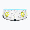 Zmeu de kitesurfing Duotone Evo D/LAB grey/lime 6