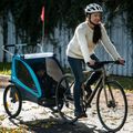 Thule Coaster XT Remorcă pentru biciclete + cărucior verde 10101820 7