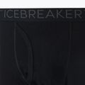Colanți termoactivi pentru bărbați Icebreaker 200 Oasis W/Fly negri IB1043700011 9