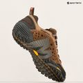 Încălțăminte turistice pentru bărbați Merrell Intercept moth brown 16