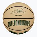 Wilson NBA Player Icon Mini Giannis baschet WZ4007501XB3 mărimea 3