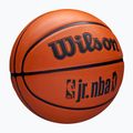 Minge de baschet pentru copii Wilson NBA JR Drv Fam Logo brown mărime 4 2
