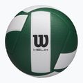 Minge de volei Wilson Helix Game Ball green/white mărime 5