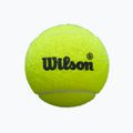 Mingi de padel Wilson Premier Padel Speed 3B 3 buc. yellow 2
